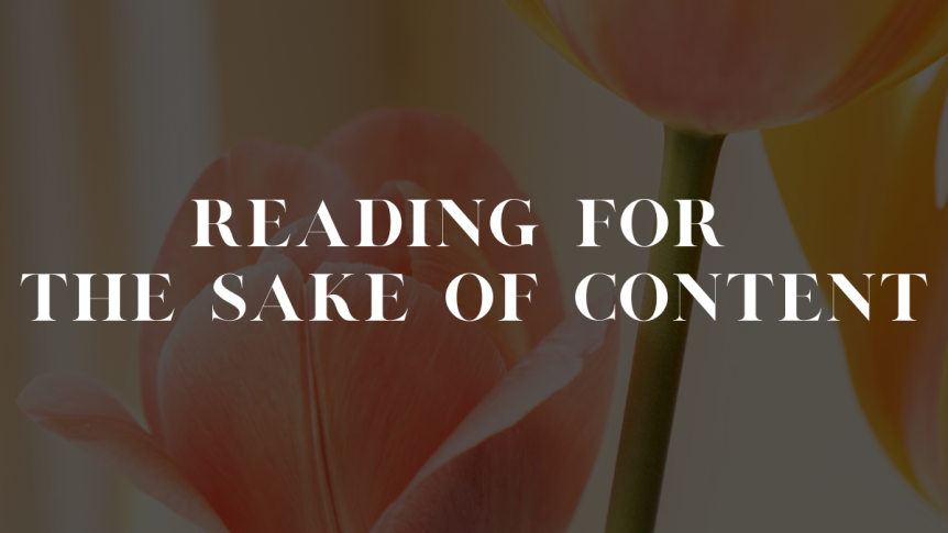 Reading for the Sake of Content // some honest thoughts from blogging over the years